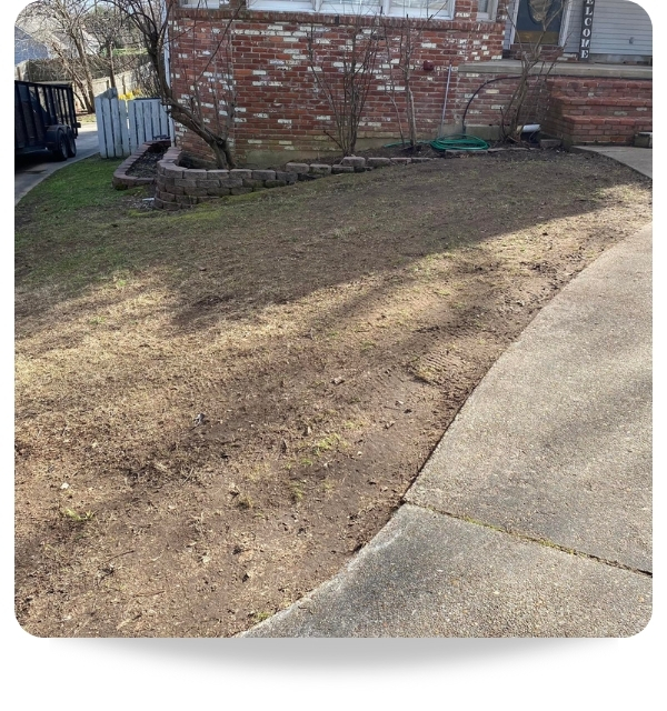 Lawn Care 1 lawn seeding