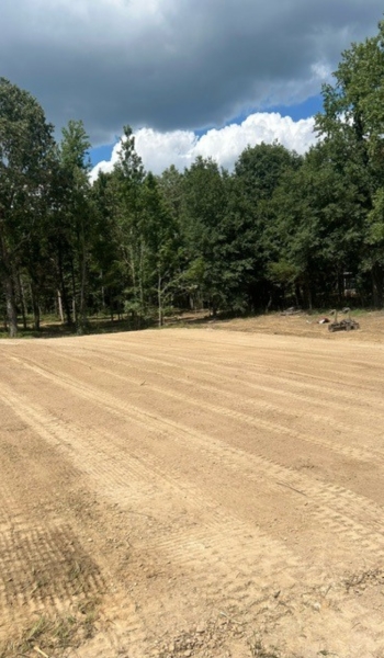 Brush Clearing 1 brush hogged field